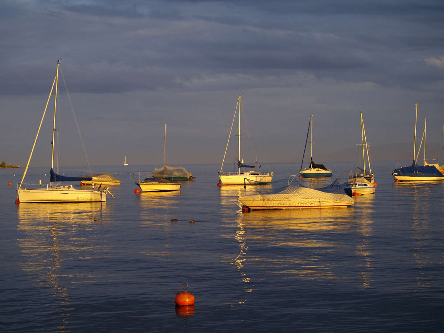 Sommer-Entdecker-Tour am Bodensee mit Schifffahrt