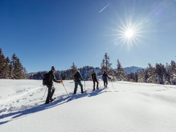 Wanderauszeit im geräumigen Appartement im Alpbachtal | 3 Nächte  