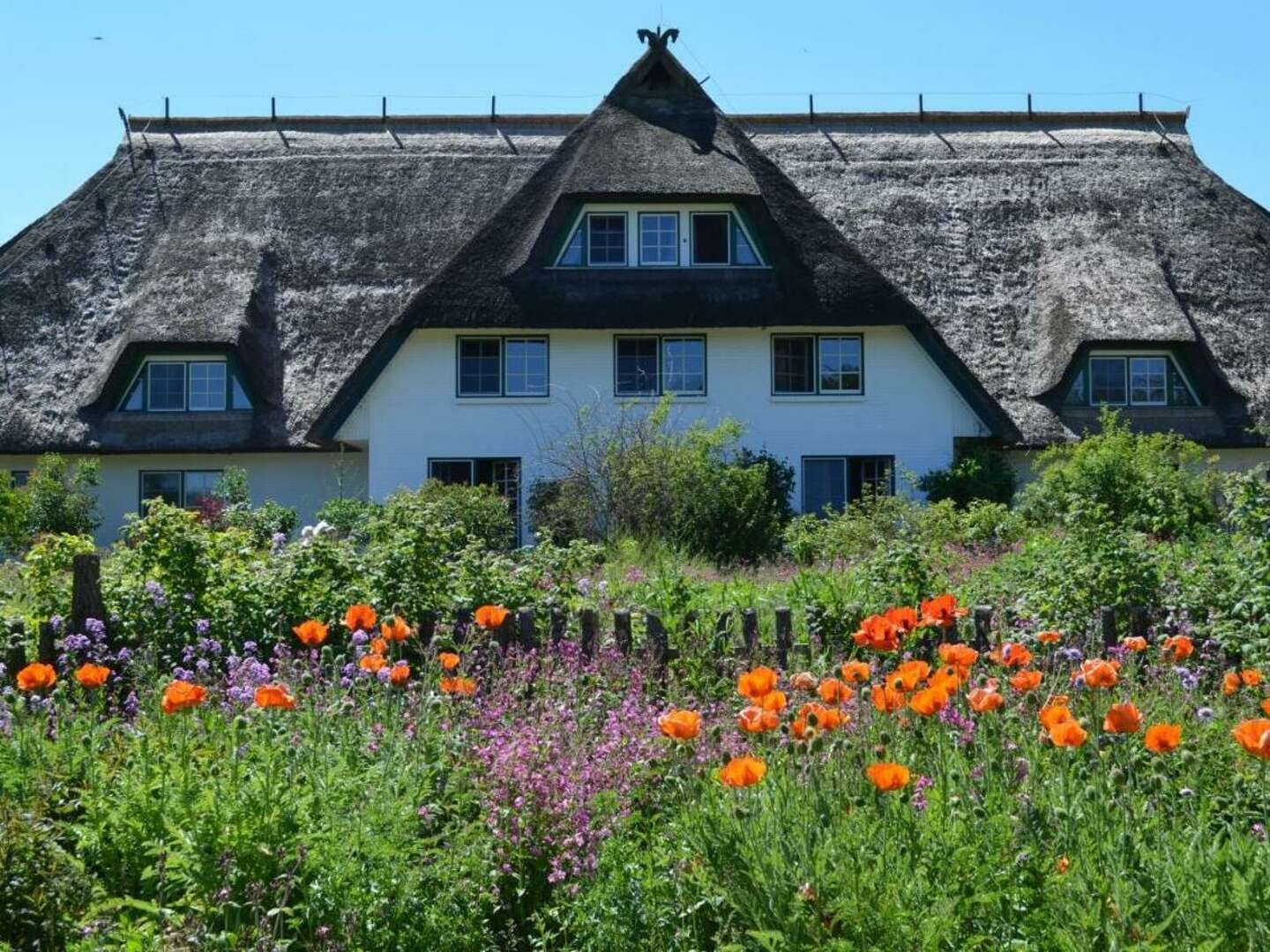 Wellnessauszeit auf dem Darß inkl. Massage