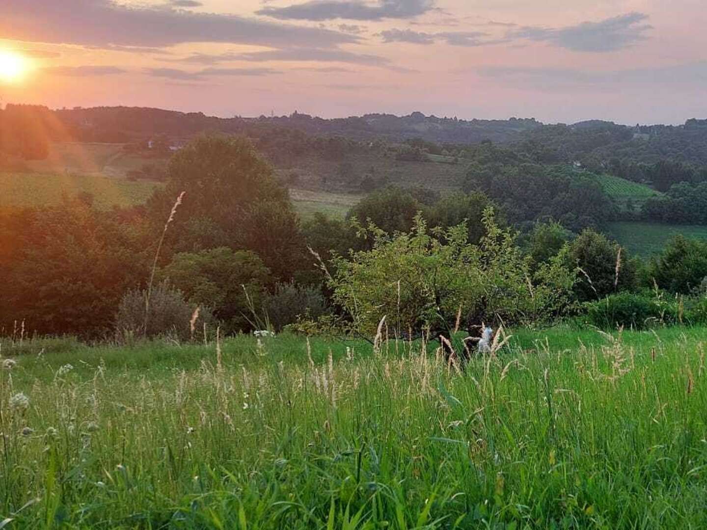 Genuss & Therme  im Burgenland inkl. Thermenermäßigung | 3 Nächte