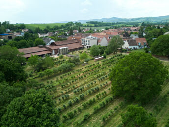 Genussmomente in der Pfalz - 3 Tage im Weinhotel mit Weingut