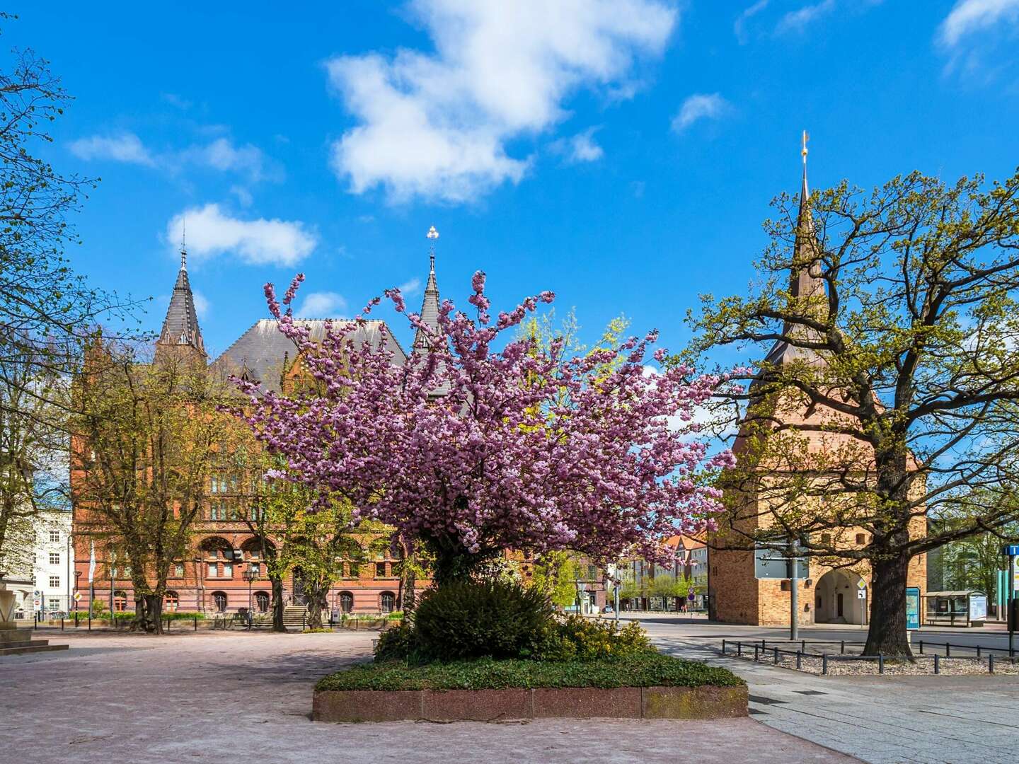 Maritimes Flair in Rostock genießen