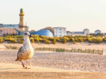 Auszeit an der Ostsee in Rostock