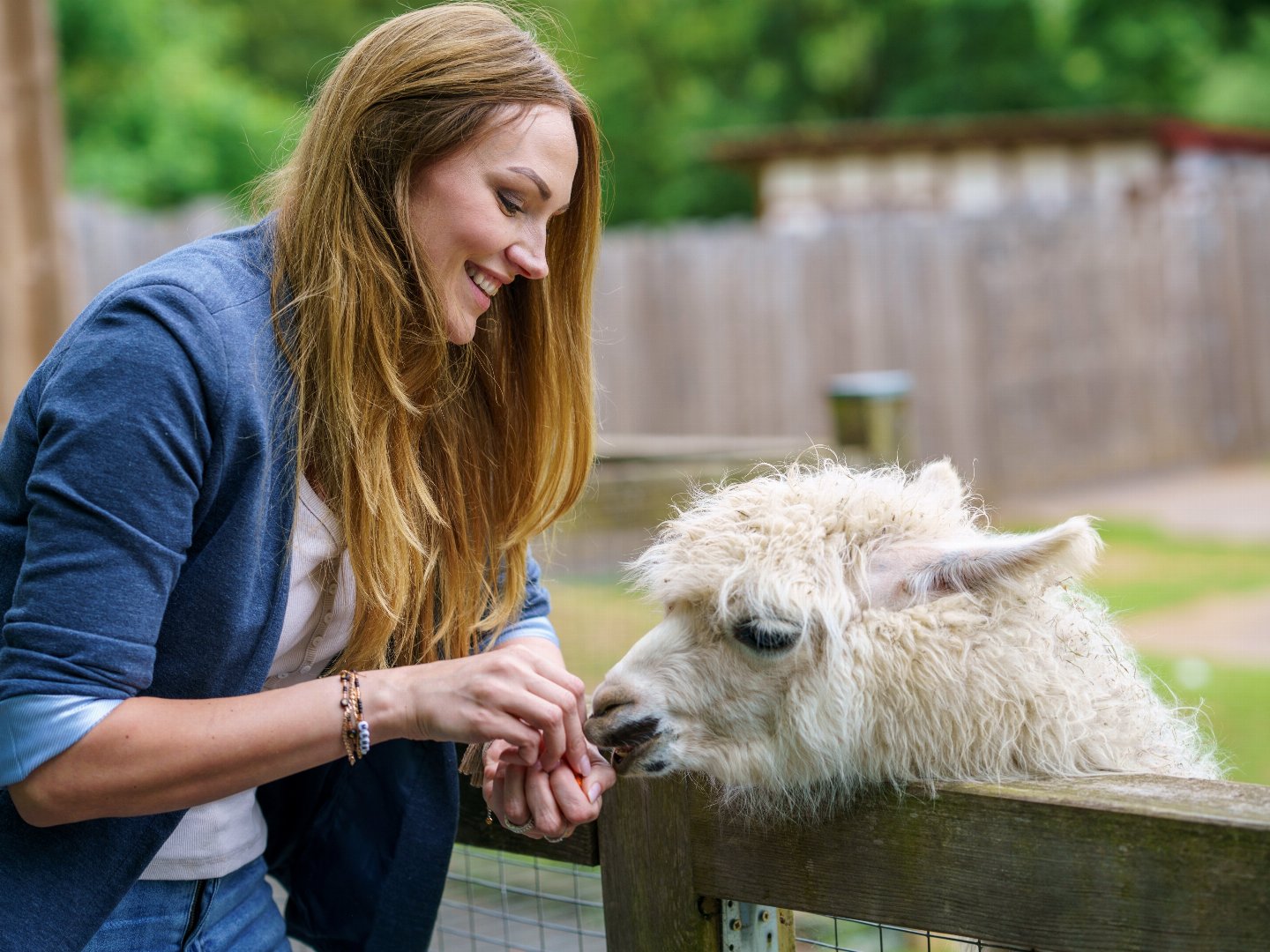 Kurzurlaub in Salzburg inkl. Eintritt in den Zoo | 3 Tage