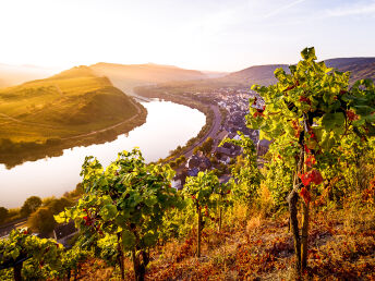 8 Tage Aktivurlaub: Entspannung am Flussufer der Mosel und Verwöhnzeit in der Vulkaneifel Therme