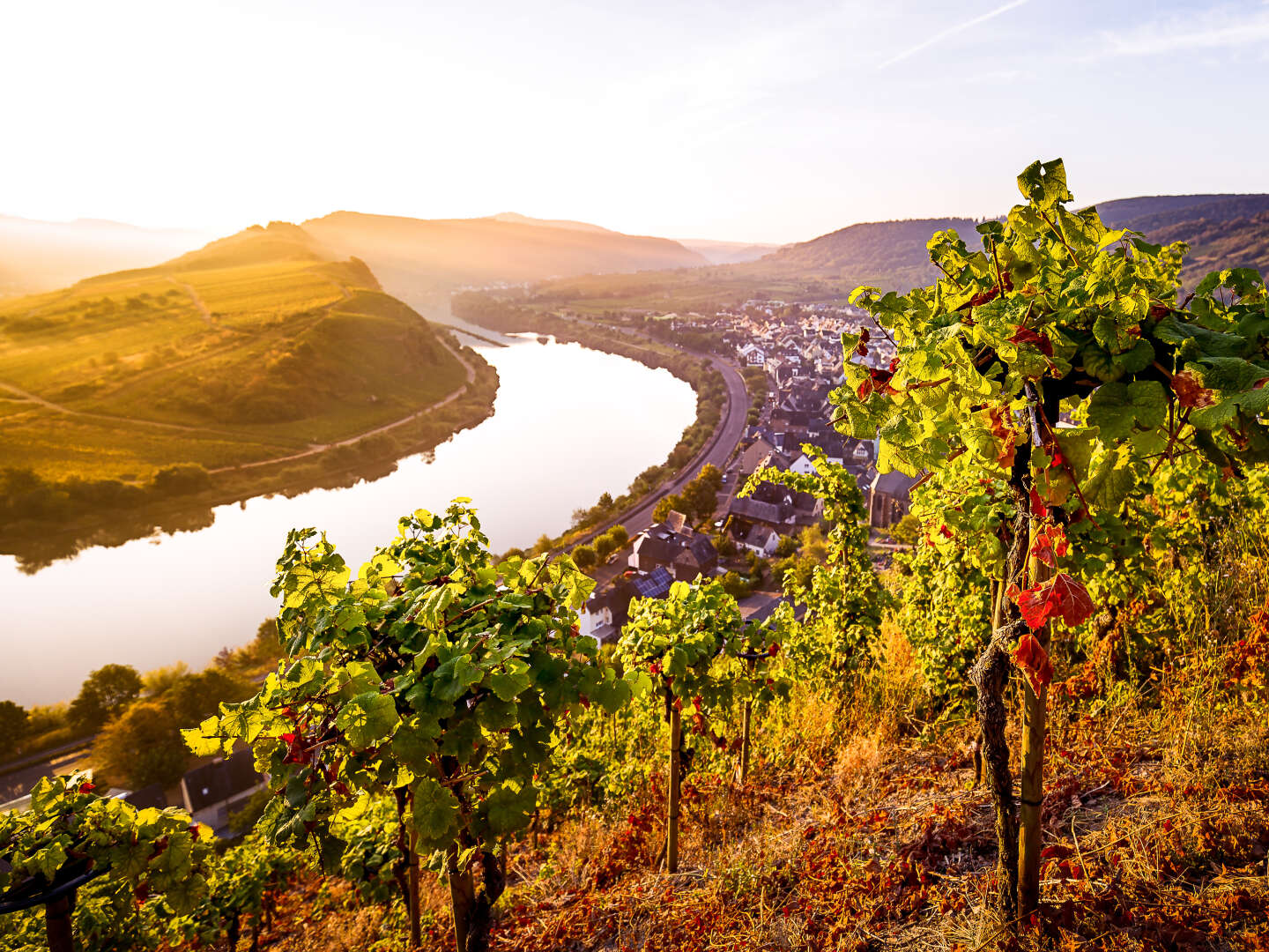 8 Tage Aktivurlaub: Entspannung am Flussufer der Mosel und Verwöhnzeit in der Vulkaneifel Therme ´25