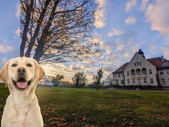 Kulinarik mit Hund - Last Minute Kurzurlaub im Advent