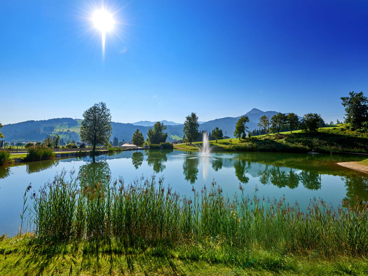 Familienurlaub in Sonnberg Flachau - Natur & Winterspaß für alle | 7 Nächte