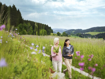 Verlängertes Sommerg´fühl & SPA im Mühlviertel | 2 Nächte