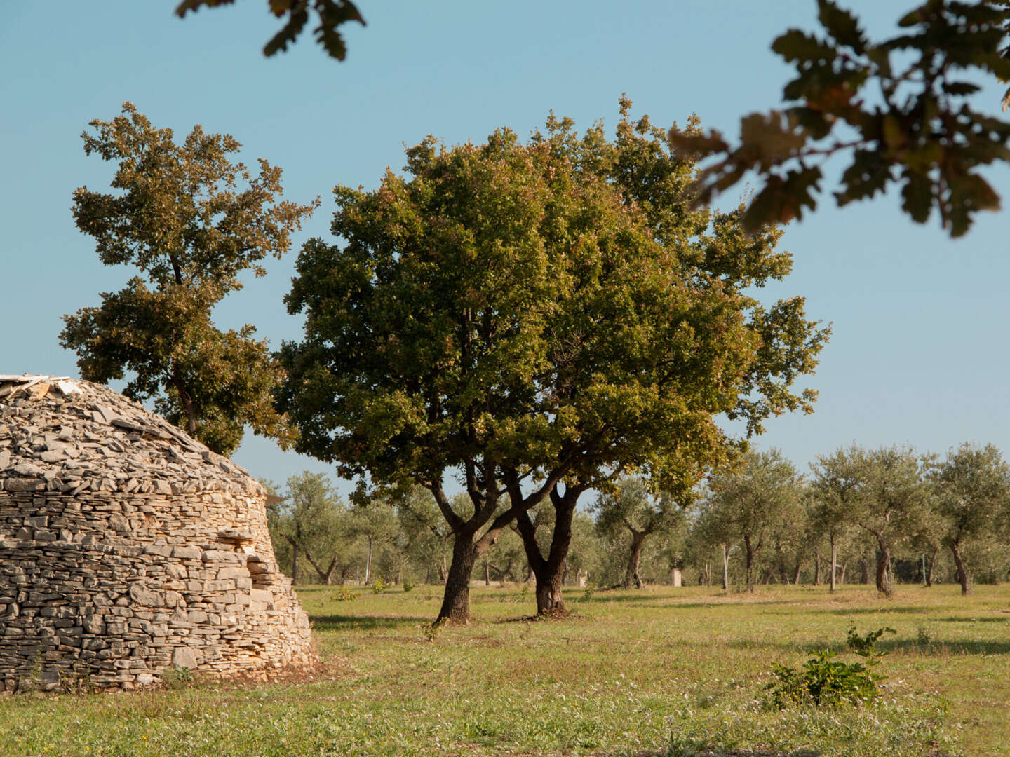 Entspannungsurlaub - Zur Ruhe kommen in der Umgebung von Castel del Monte | 2 Nächte