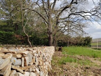 Entspannungsurlaub - Zur Ruhe kommen in der Umgebung von Castel del Monte | 2 Nächte