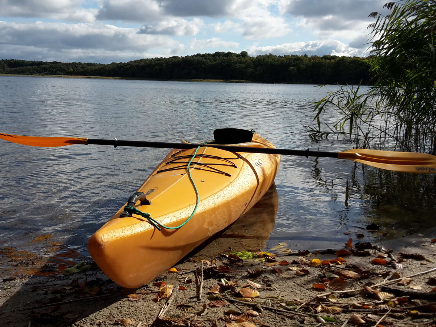 Goldener Herbst inkl. Schifffahrt, Leihfahrrad und Sauna 