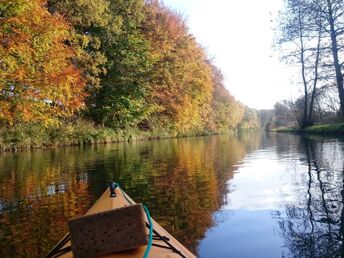 Goldener Herbst inkl. Schifffahrt, Leihfahrrad und Sauna 