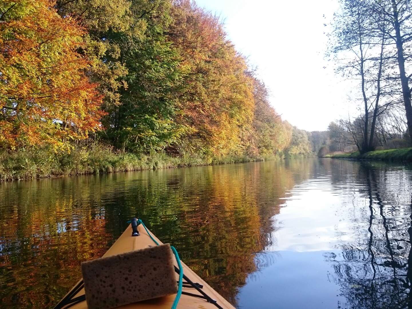 Goldener Herbst inkl. Schifffahrt, Leihfahrrad und Sauna 