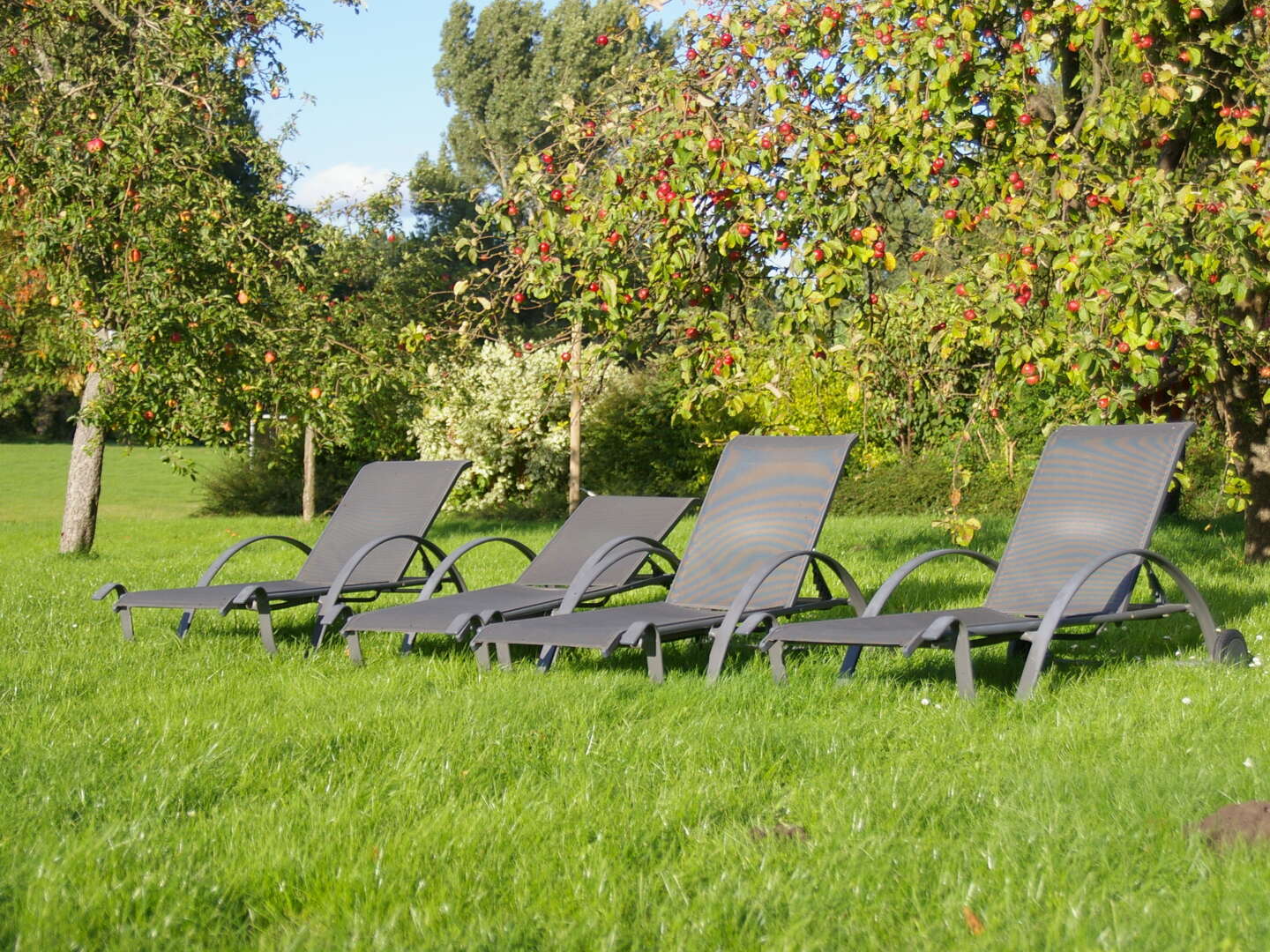 Goldener Herbst inkl. Schifffahrt, Leihfahrrad und Sauna 