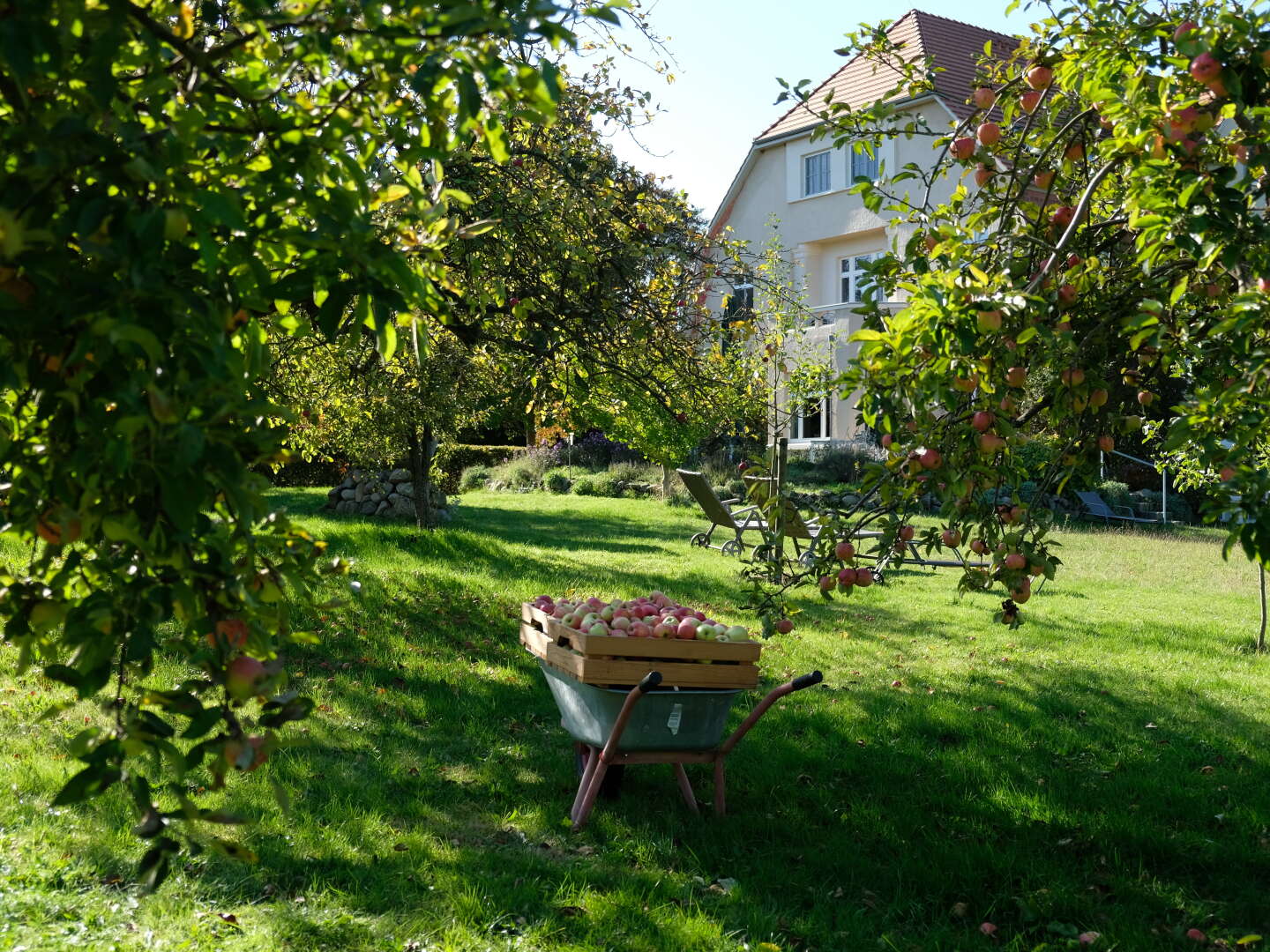 Vier Pfoten - Urlaub mit dem besten Freund inkl. Eintritt Bärenwald Müritz