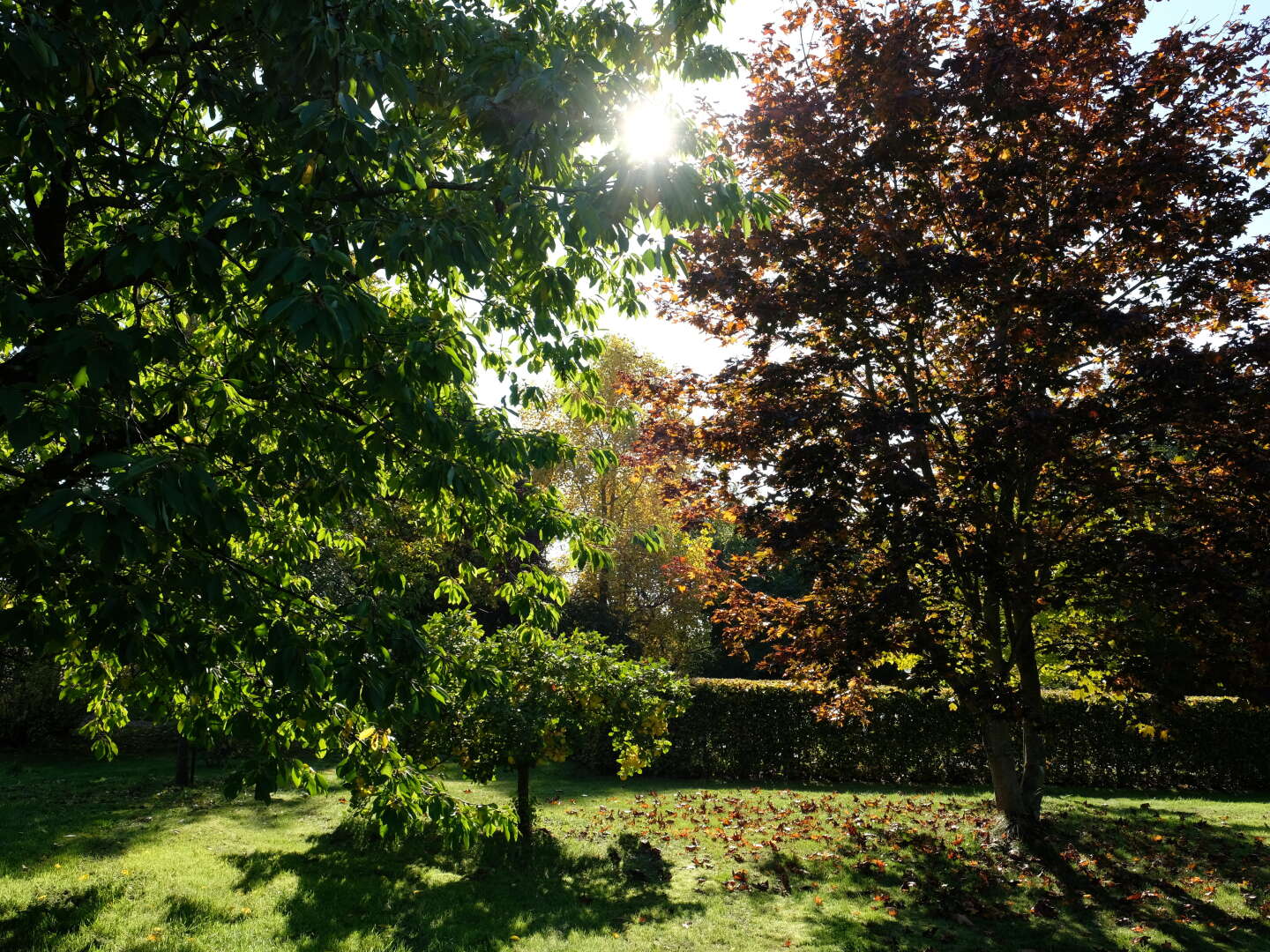 Goldener Herbst inkl. Schifffahrt, Leihfahrrad und Sauna 