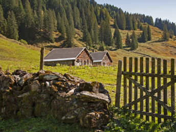 Erholungsurlaub in der Natur vom Laternstal in Vorarlberg | 7 Nächte