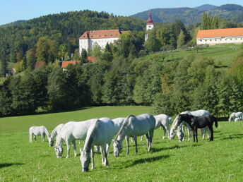 Wanderurlaub Steiermark - Heimat der Lippizaner entdecken | 5 Nächte