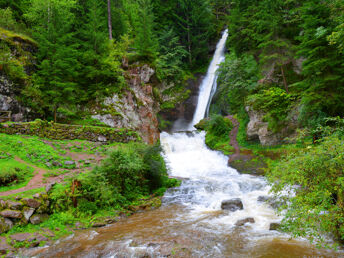 Italien (ver)kosten - Urlaub in Val di Fiemme inkl. einem Genuss-Abendessen | 3 Nächte