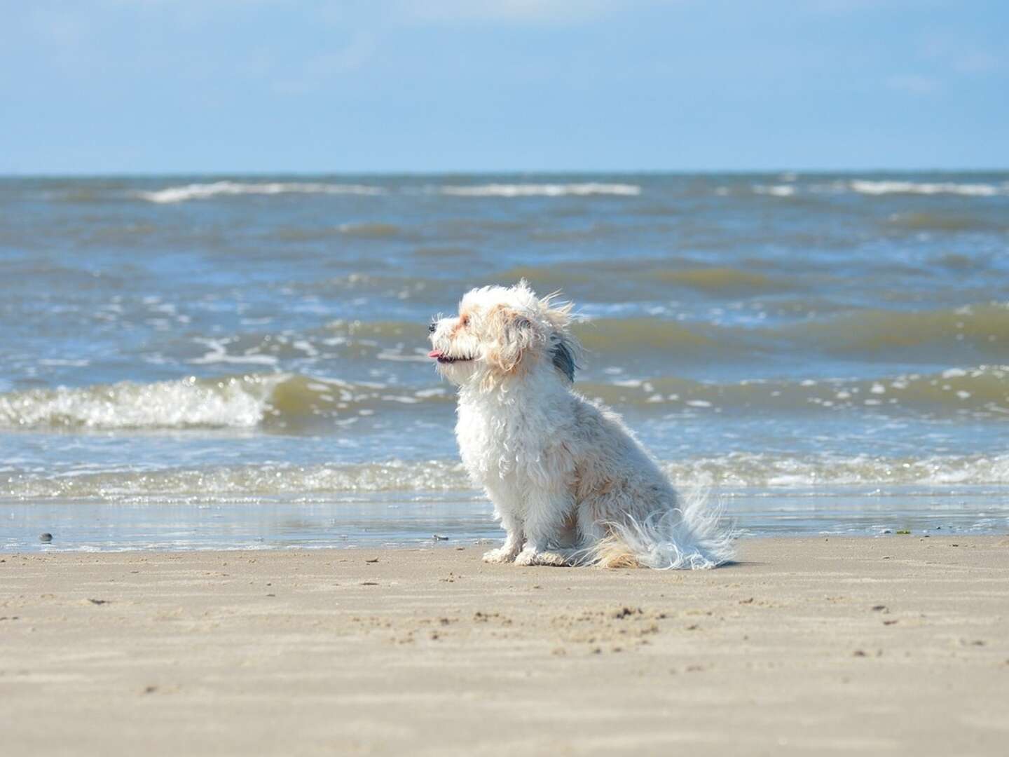 Kurzurlaub in St. Peter-Ording