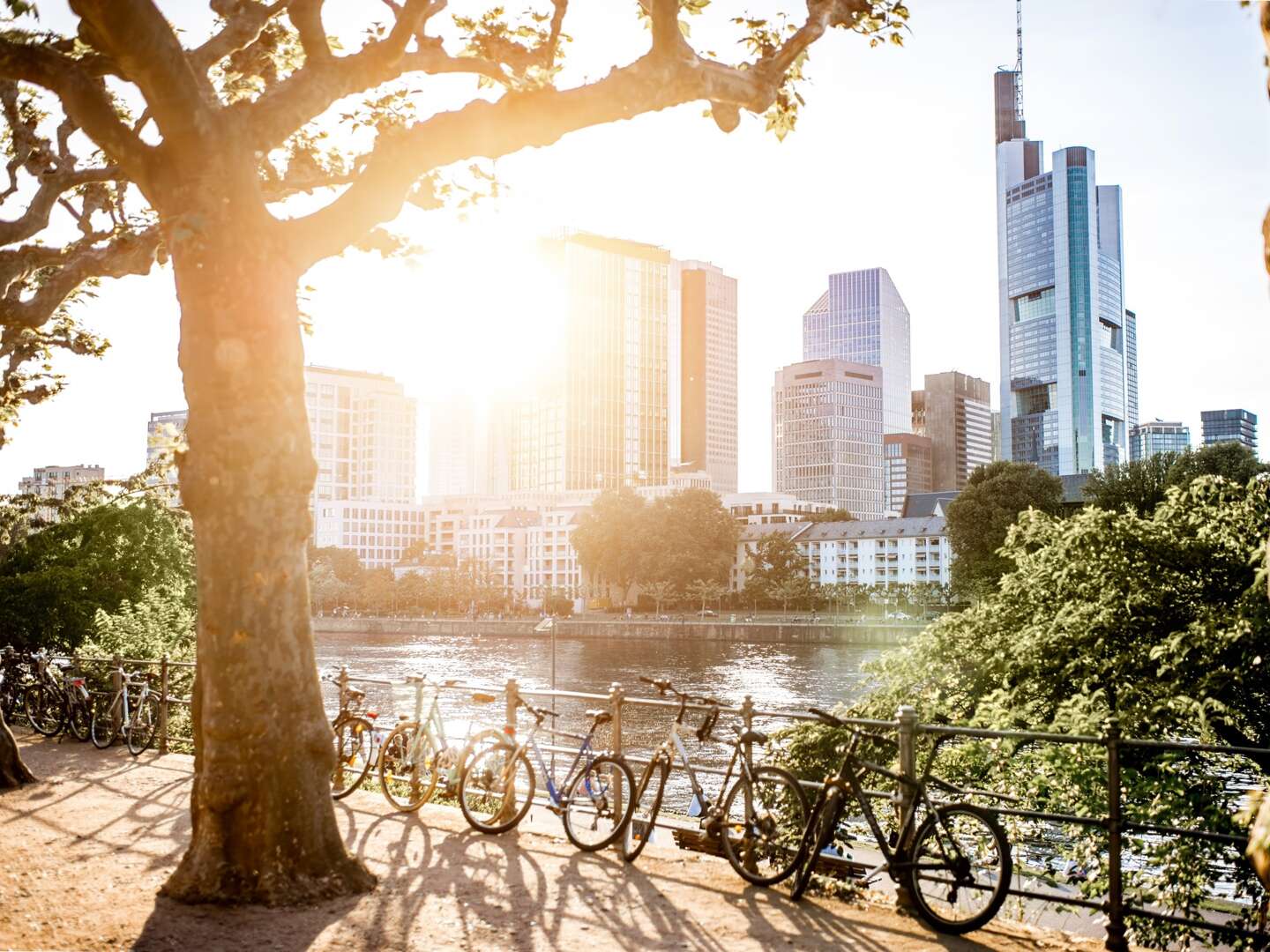 4 Tage Frankfurt mit dem Fahrrad erkunden & 1 x Lunchpaket