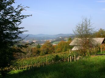 Grünes Paradies - Kurzurlaub an der slowenischen Krka | 3 Nächte