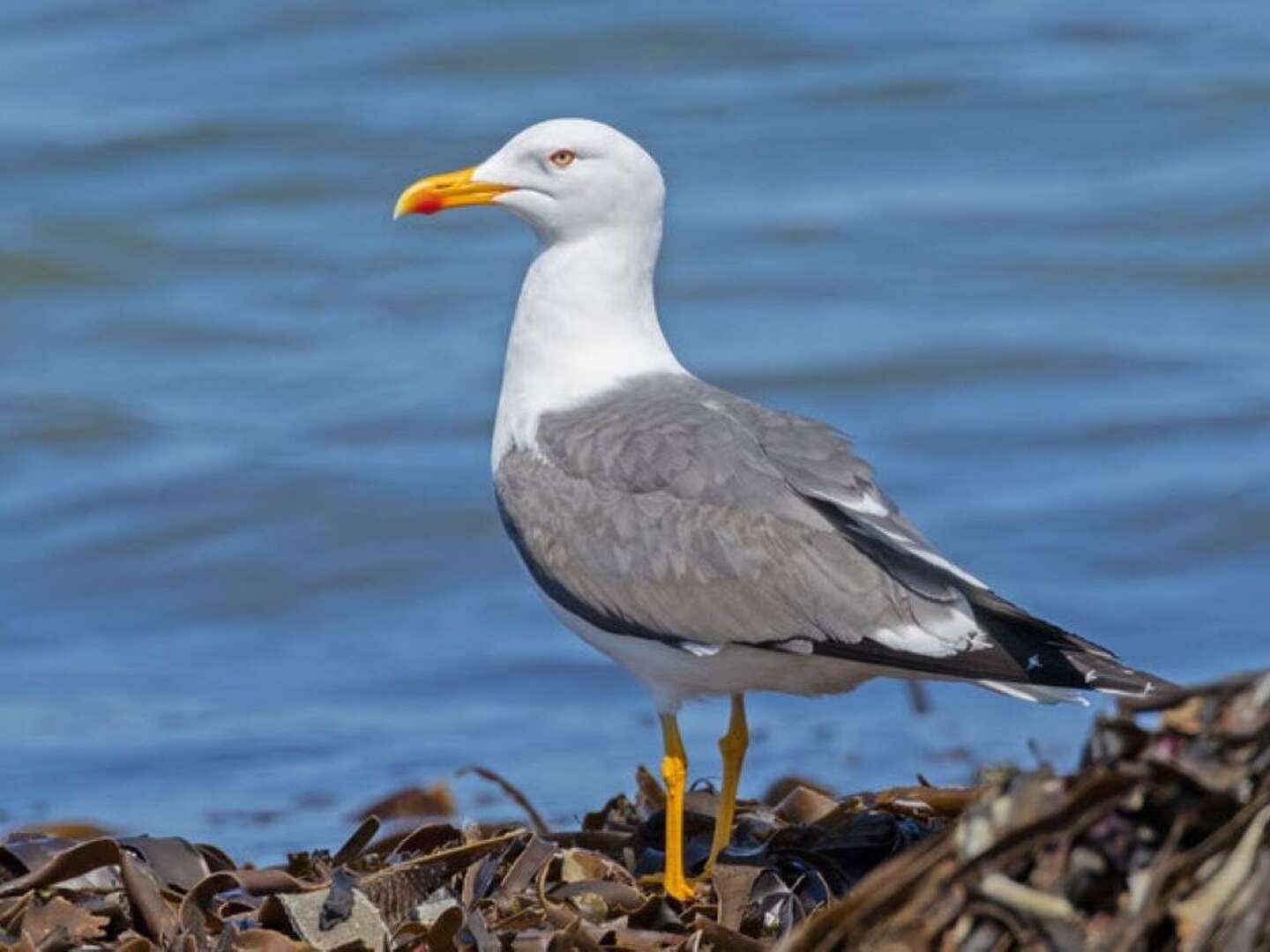 4 Tage Romantischer Urlaub an der Nordsee direkt am Elberadweg  