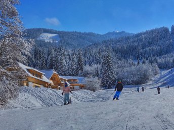 Winterzauber im Luxus-Chalet in Bad Kleinkirchheim | 4 Nächte