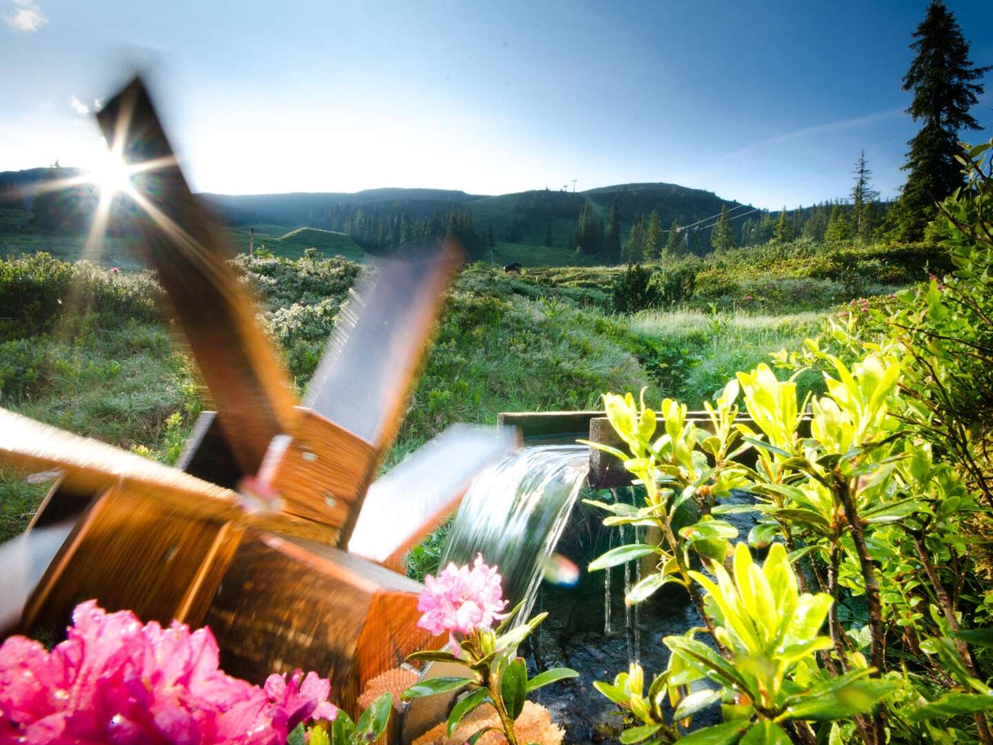 Entspannung & Natur in der Steiermark mit Eintritt für Therme | 3 Nächte