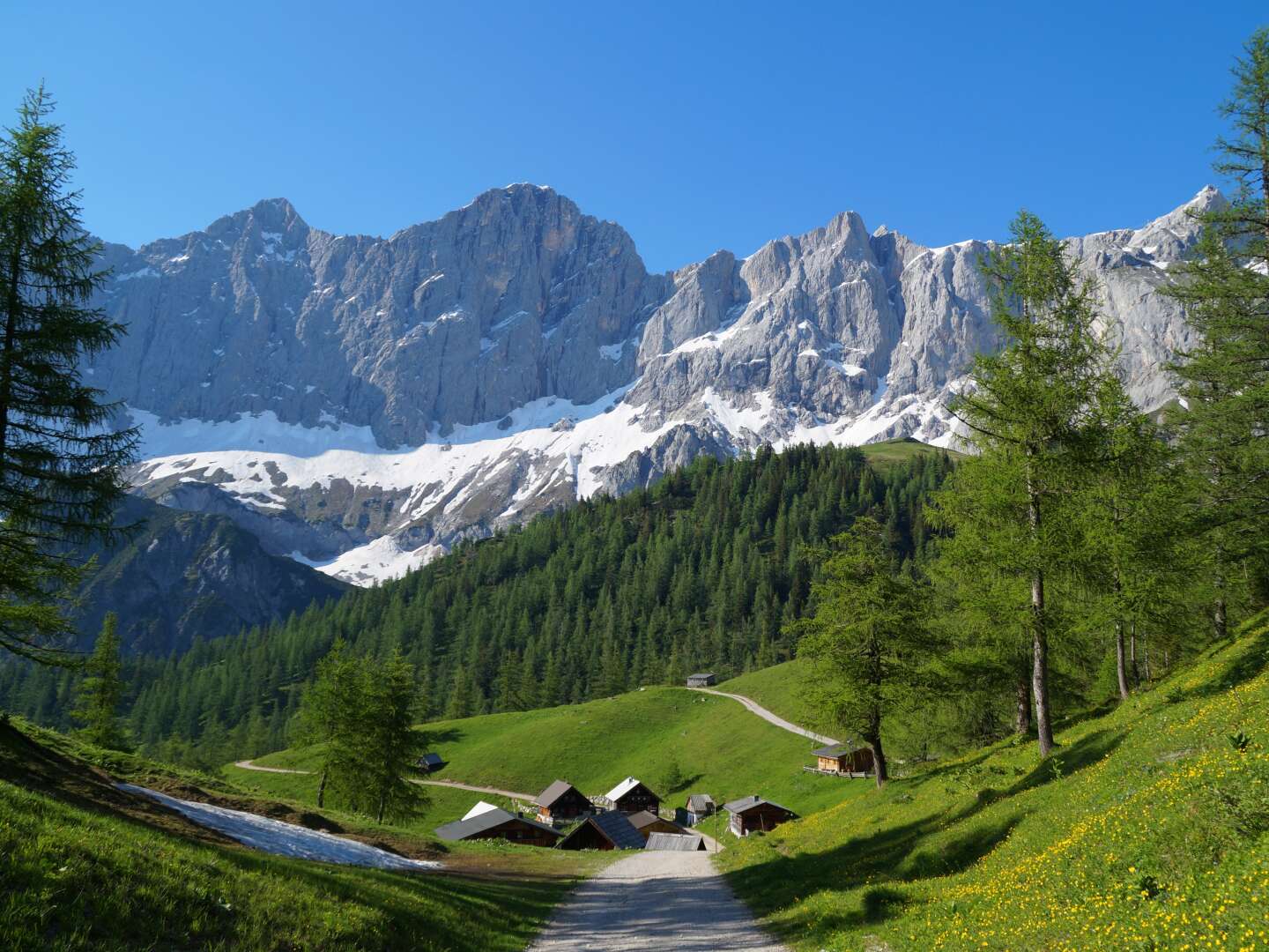 Wanderurlaub in Schladming inkl. Schladming-Dachstein Sommercard | 5 Nächte