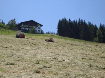 Wanderurlaub in Schladming inkl. tägl. Nutzung der Bergbahnen | 7 Nächte