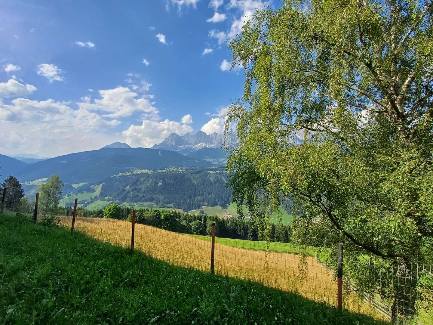 Wanderurlaub in Schladming inkl. tägl. Nutzung der Bergbahnen | 7 Nächte