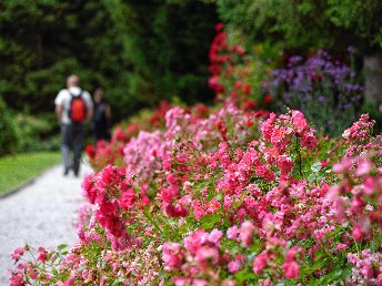 Blütenzauber & Thermalglück: Wellness in Slowenien inkl. Arboretum | 2 Nächte