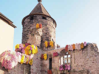 Blühende Meisterwerke im Herbst – Chrysanthema in Lahr (4 Tage / 3 Nächte)