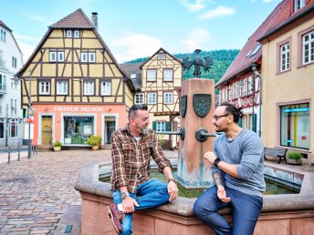 Neckargemünd - Auf den Spuren der Stadtgeschichte - 4 Tage