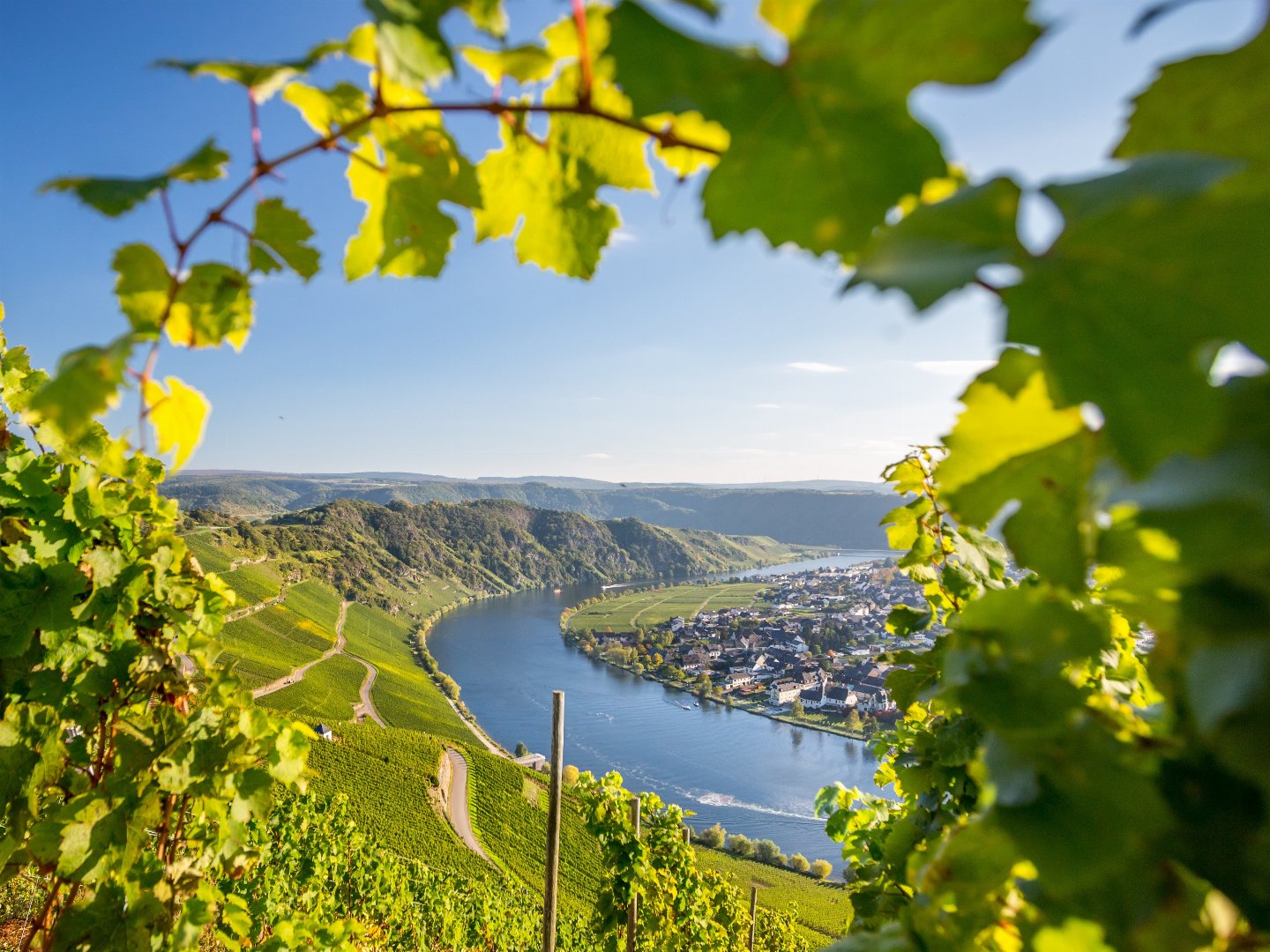 Kurzurlaub - den gönn ich mir an der Mosel inkl. Abendessen