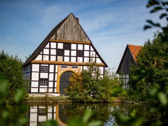 Adlerwarte in Detmold: Unvergessliche Tage im Teutoburger Wald mit Detmolder Schloss und Adlerwarte