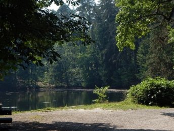 Kultur in Detmold: unvergessliche Tage im Teutoburger Wald mit Detmolder Schloss und Landesmuseum