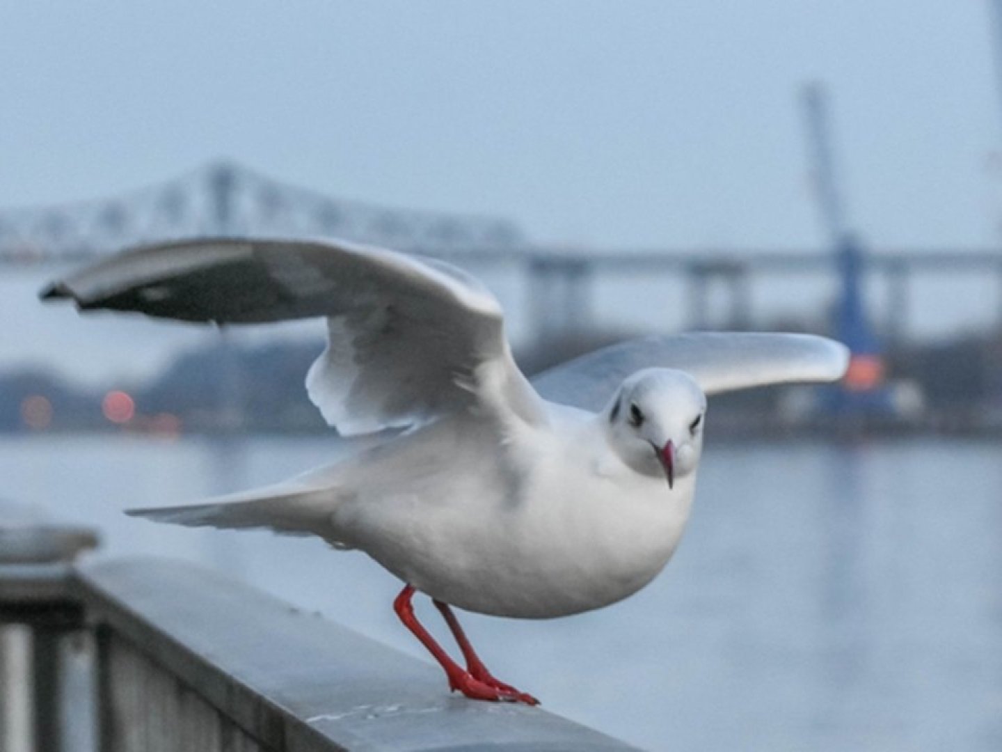 3 Tage Kurzurlaub am  Nord-Ostsee Kanal inkl. 1 x Abendessen