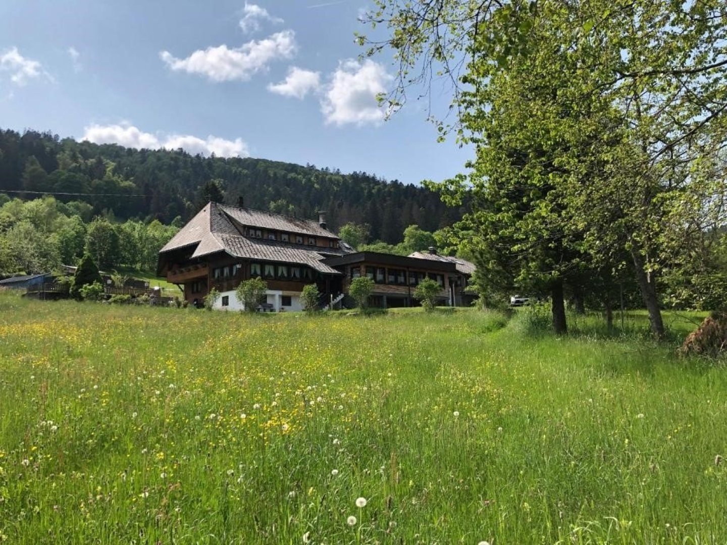 Genuss & Erholung im Schwarzwald 5 Tage