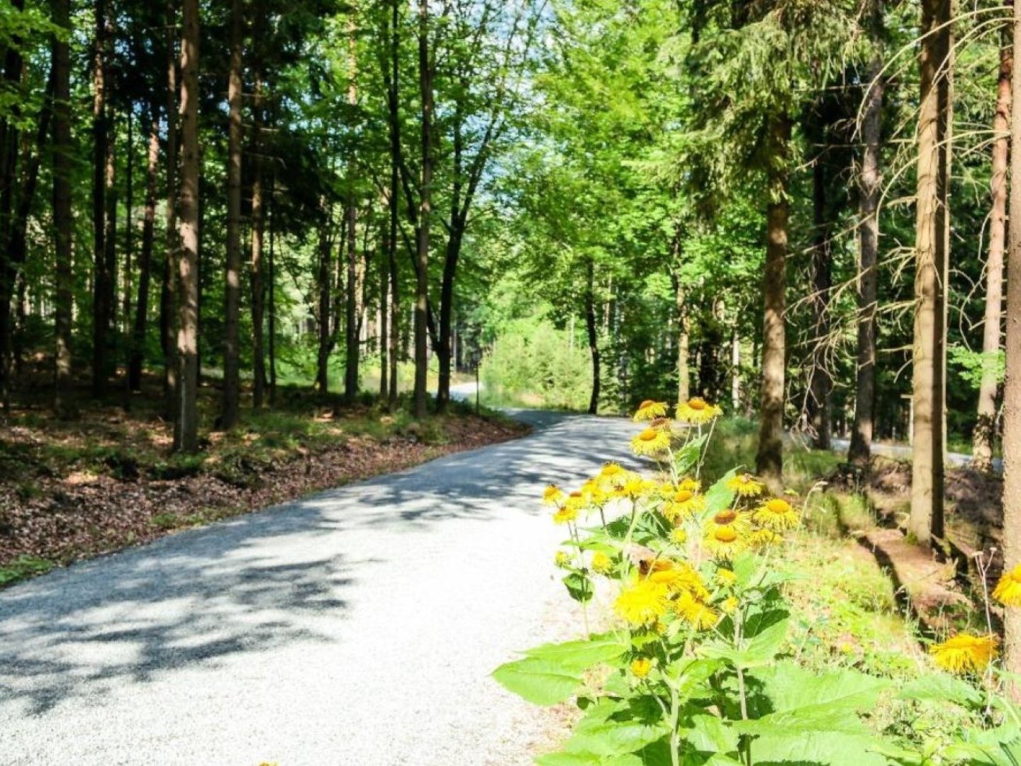 Königliche Wellness-Auszeit im Moorheilbad Bad Elster - 3 Tage