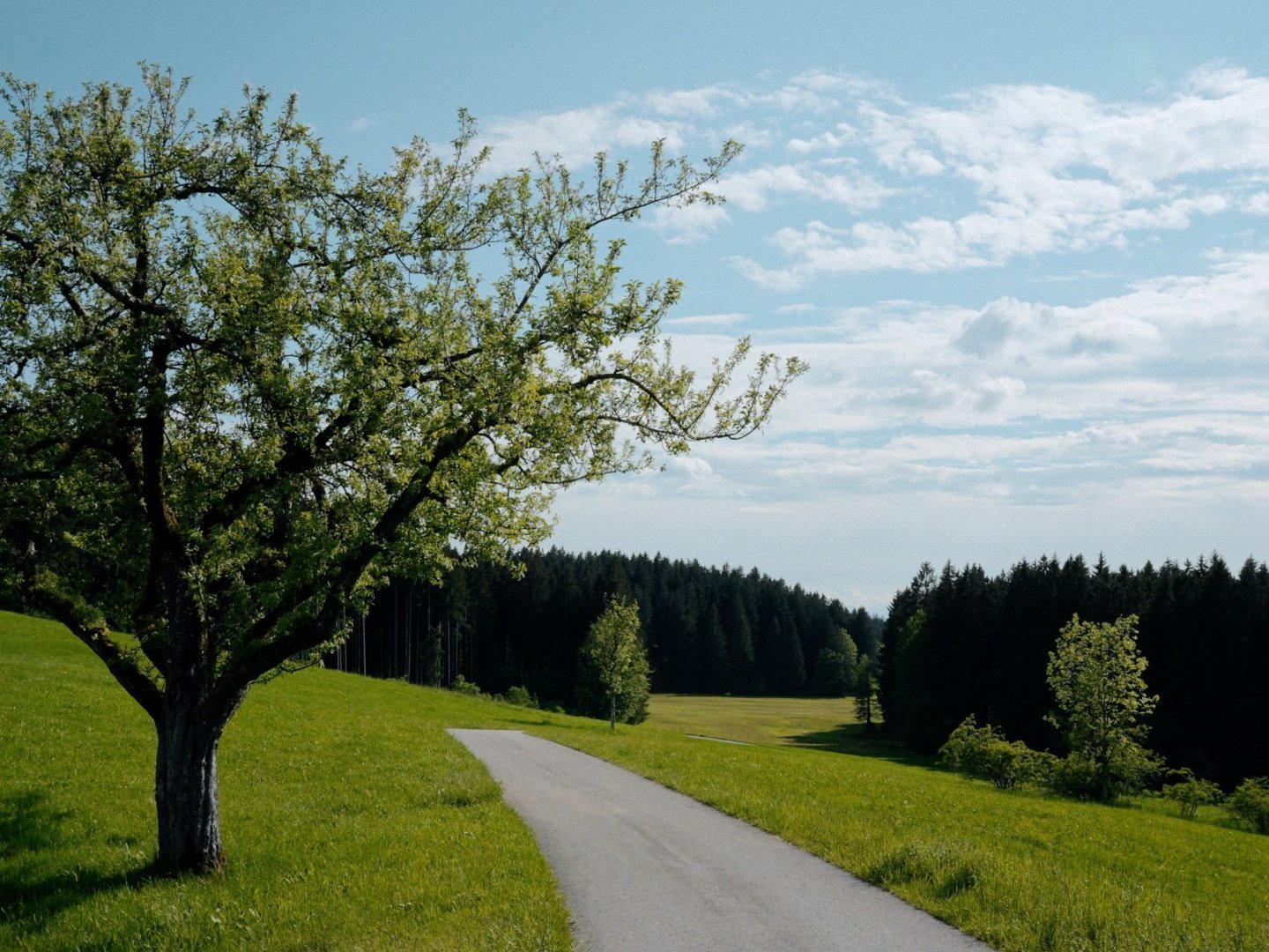 Freundinnentage im Allgäu mit Wellness