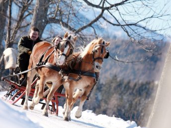 Rückzug in die Berge – Ruhe, Natur & Erholung I 6 Nächte Mariazellerland