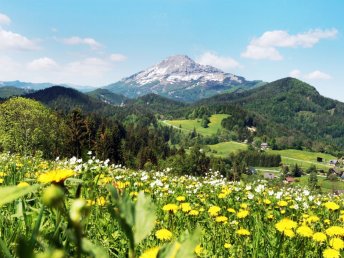 Natur, Spaß und Erholung im Mariazellerland: Familienurlaub im JUFA Hotel Annaberg***s I 2 Nächte