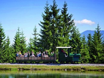 Mariazell – Ein Wallfahrtsort voller Geschichte und Kultur erleben I 6 Nächte  