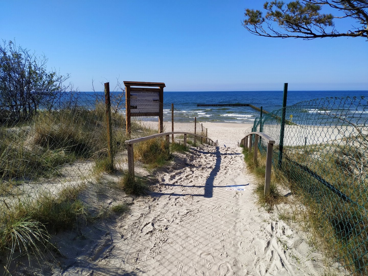 Fronleichnam an der Ostsee | 3  ÜF + 1 Abendessen