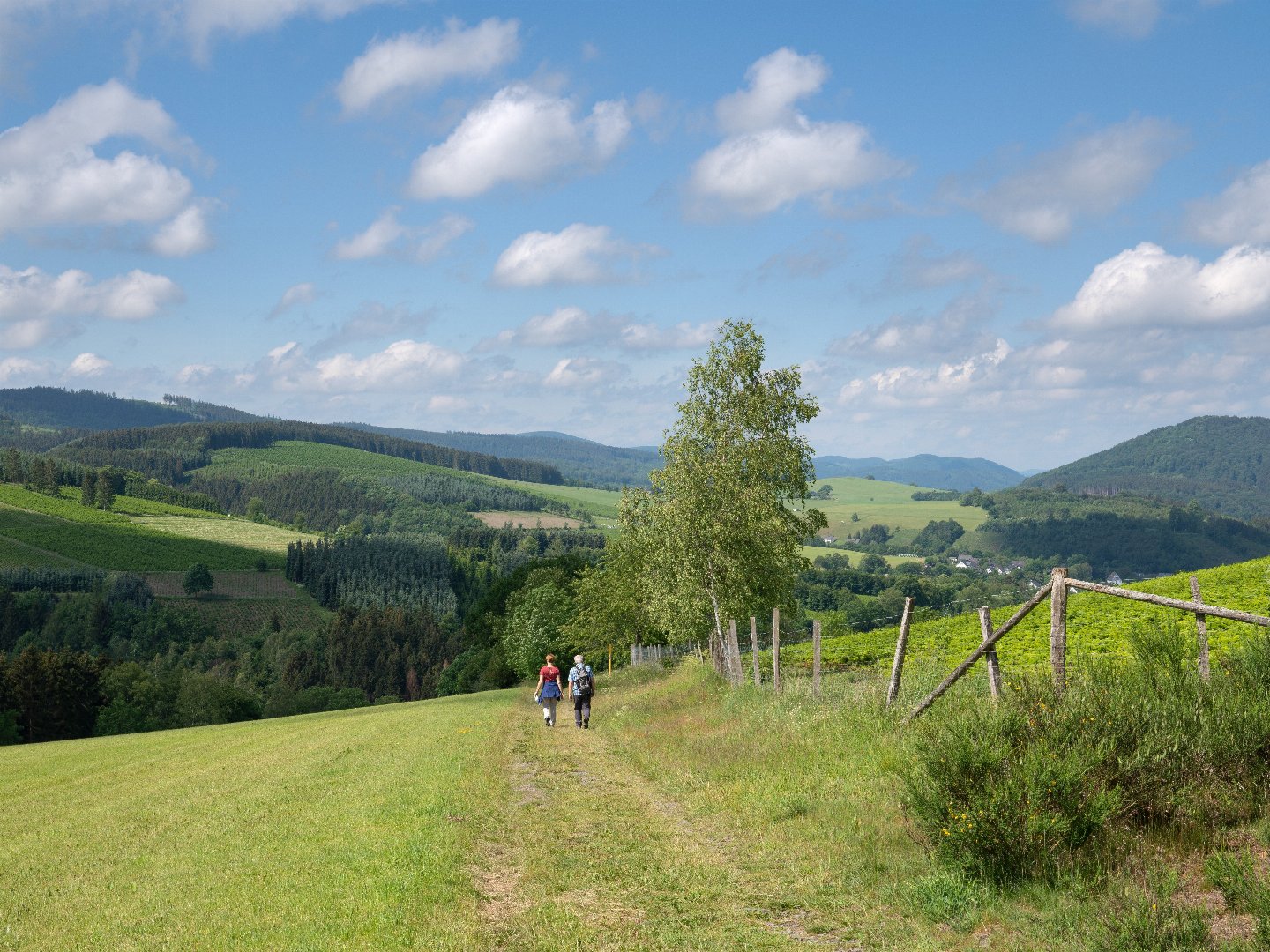 5 Tage Woche im Sauerland