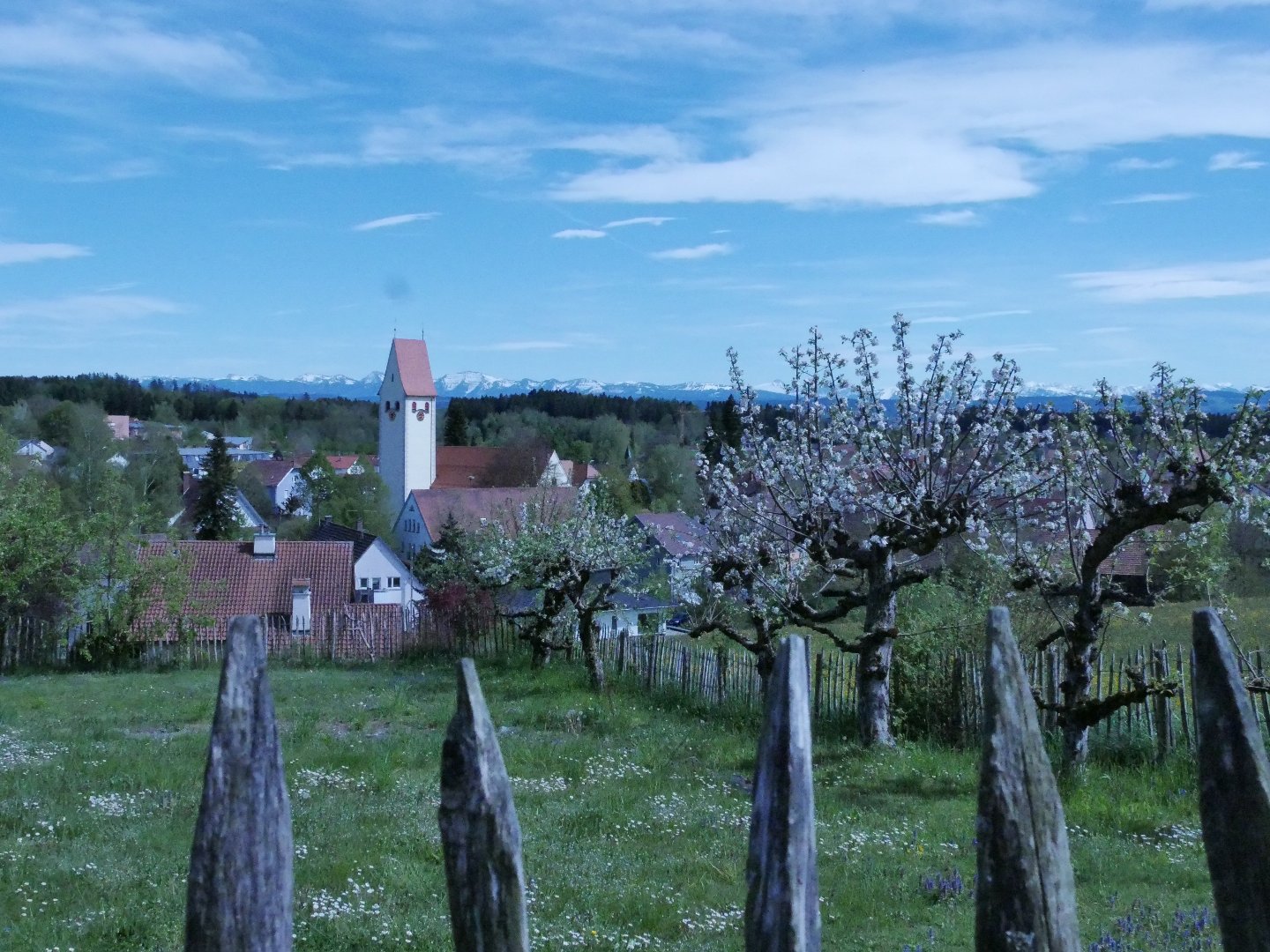 Frühsommer im Allgäu/Bodenseeregion