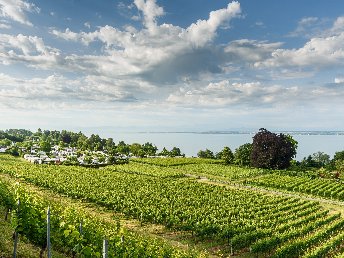 Frühsommer im Allgäu/Bodenseeregion